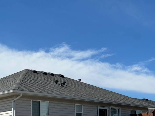Best Roof Ventilation Installation  in Dale, PA